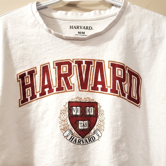 Harvard - Crop Top Tee - Size M - Picture 2 of 5